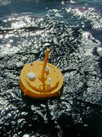 Drifting buoy