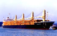 Lumber ship