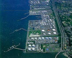Petrochemical complex
